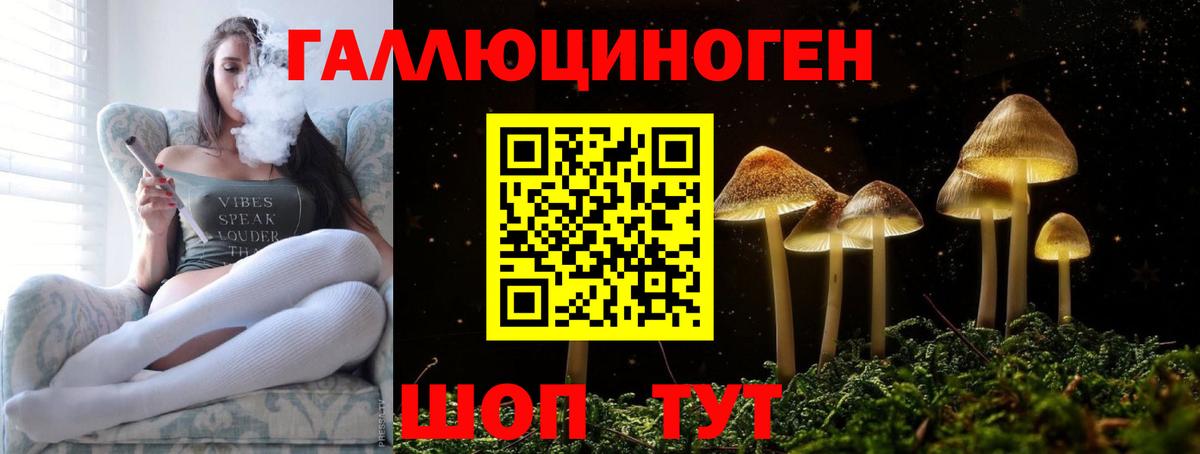 Луховицы  Галлюциногенные грибы MAGIC MUSHROOMS  Вход с VPN 